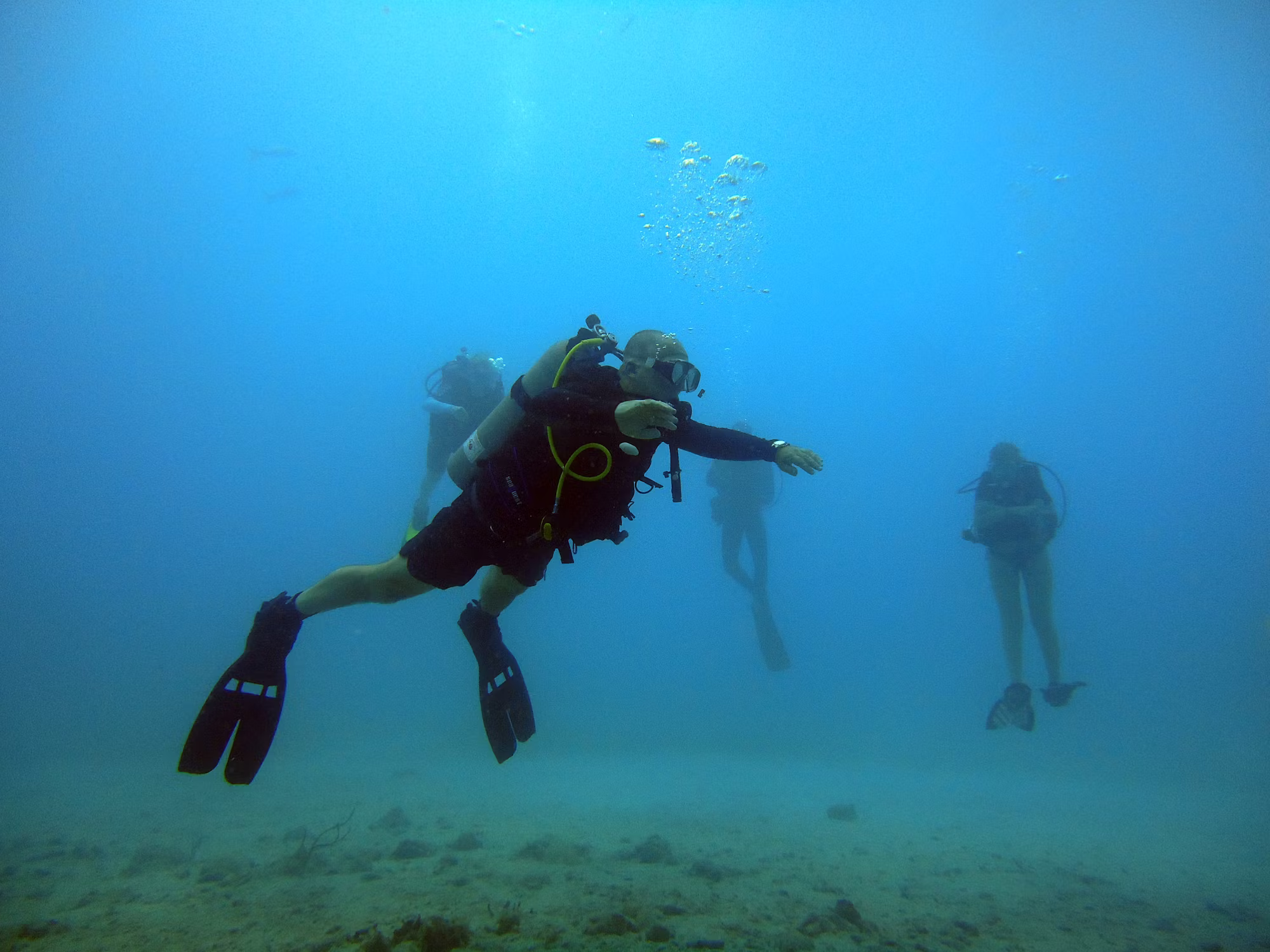 Diving Adventures: Discovering the Underwater World