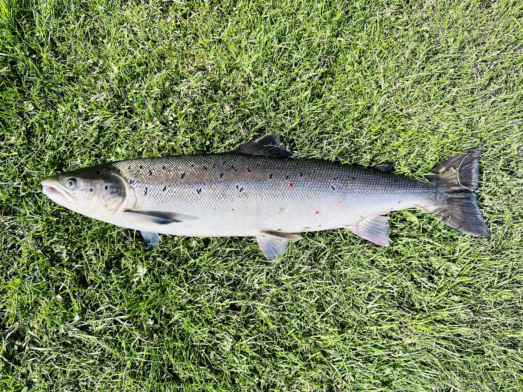 A Beginner’s Guide to Kayak Fishing: Techniques, Tips, and Equipment