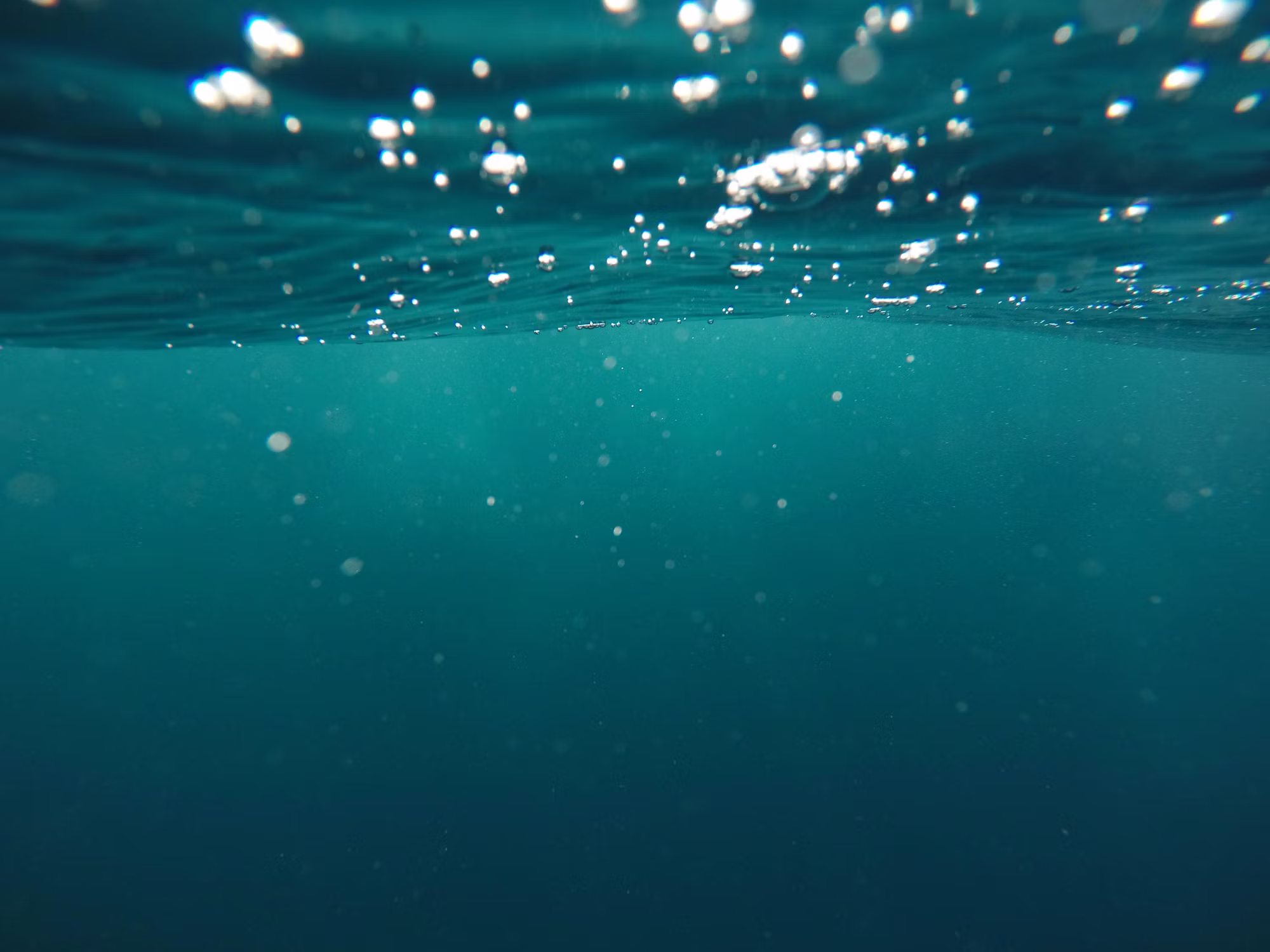 A Deep Dive into the Art of Underwater Exploration