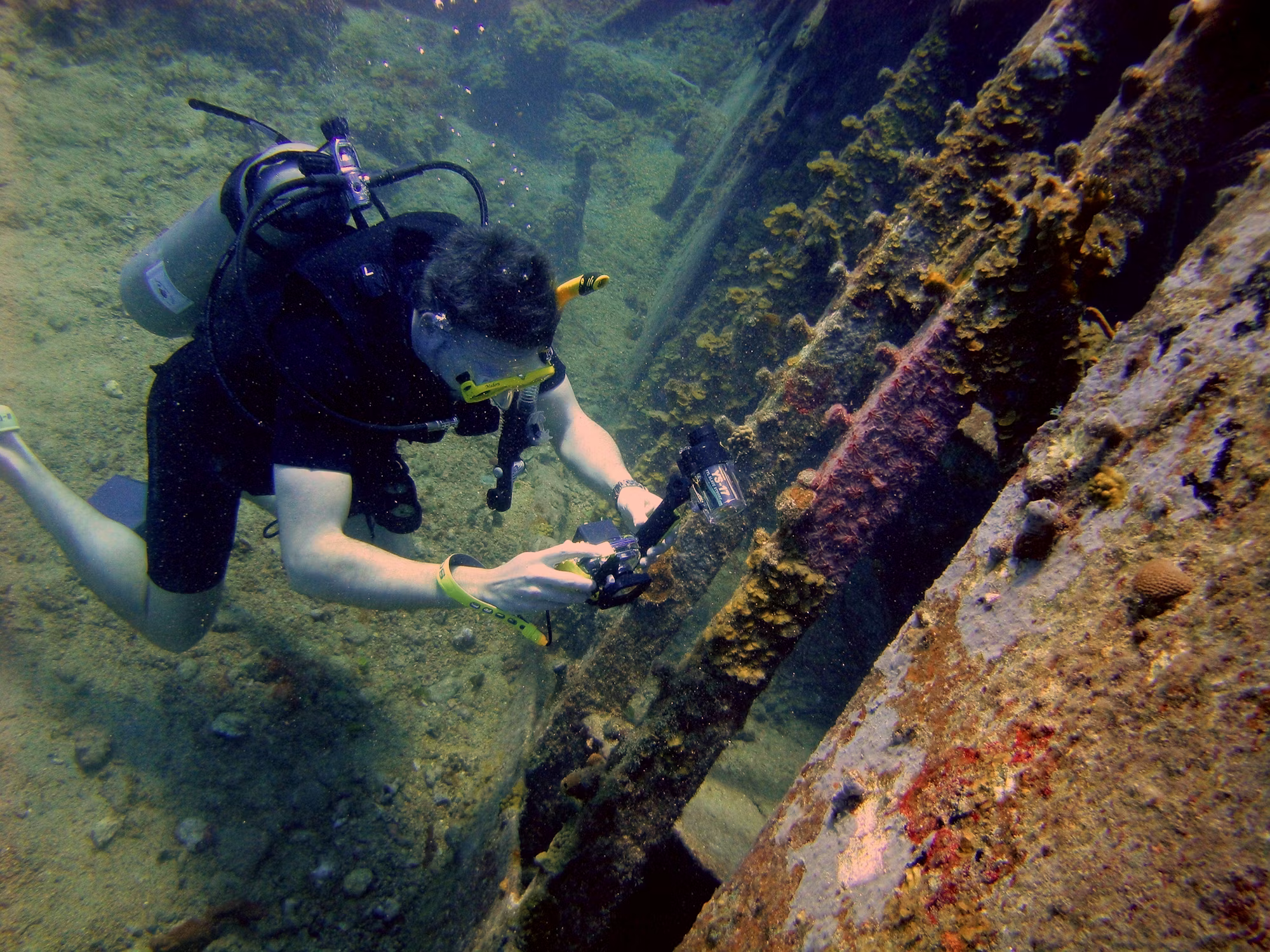 Beneath the Waves: A Journey Through Diving Adventures